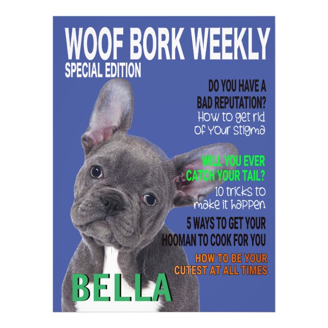 Foto Cobrir da Revista Terrier Parody de Boston (Frente)