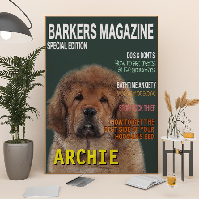 Foto Cobrir da revista Tibetan Mastiff Parody (Criador carregado)