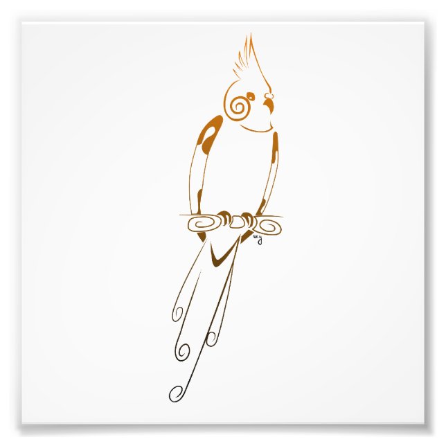 Foto Cockatiel (Frente)