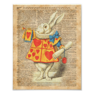 Foto Coelho branco Alice em trabalhos de arte do