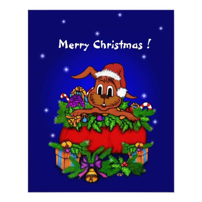 Foto Coelho Natal (Frente)