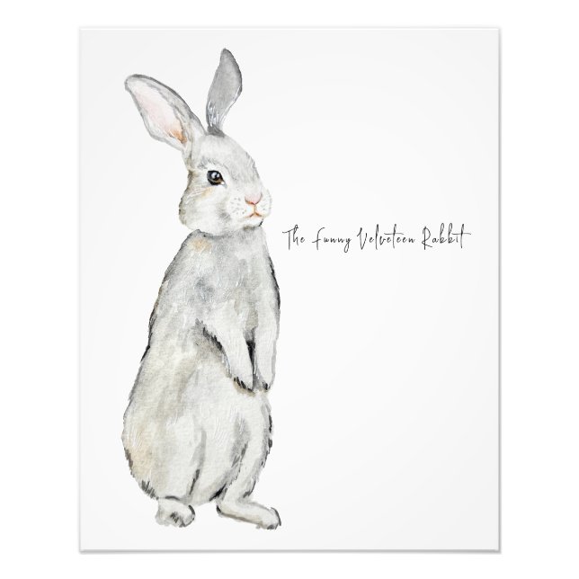 Foto Coelho veludo engraçado (Frente)