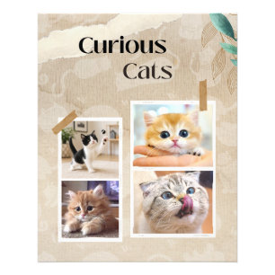 Foto Colagem de Gatos Curiosos