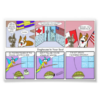 Foto Collie de bordas/Eficiência no uso de energia