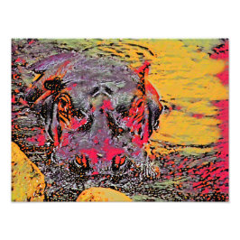 Foto Colorida Hippopotamus