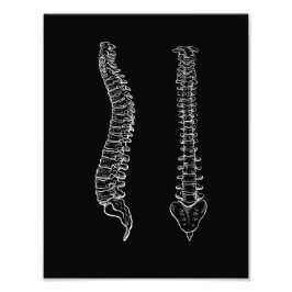 Foto Coluna da anatomia humana, preto e branco