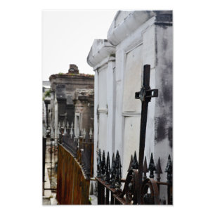 Foto Comemore a vida