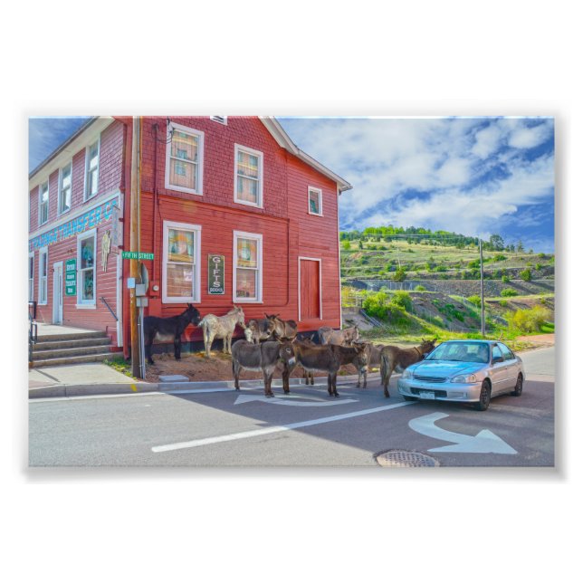 Foto Comitê de Boas-Vindas Donkey, Cripple Creek Colora (Frente)