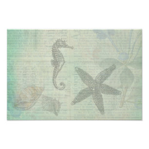 Foto Conchas Vintage Sea, Starfish e SeaHorse