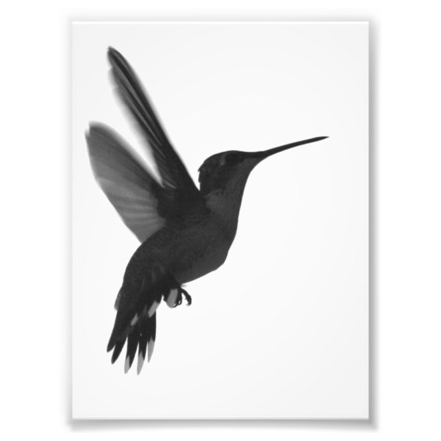 Foto Congelado no tempo (Frente)