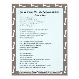 Foto Conhecer-Me - Ciência, Sistema Esqueletal