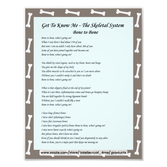 Foto Conhecer-Me - Ciência, Sistema Esqueletal (Frente)