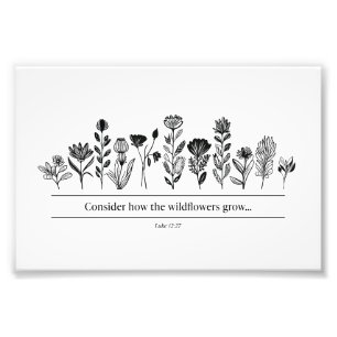 Foto Considere como as flores selvagens crescem