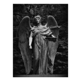 Foto "Contemplem a fé"