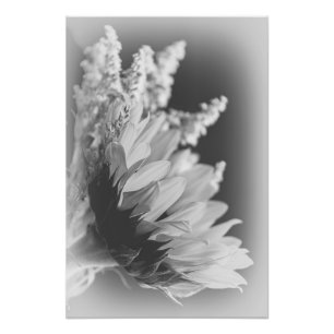 Foto Contraste Delicado 2