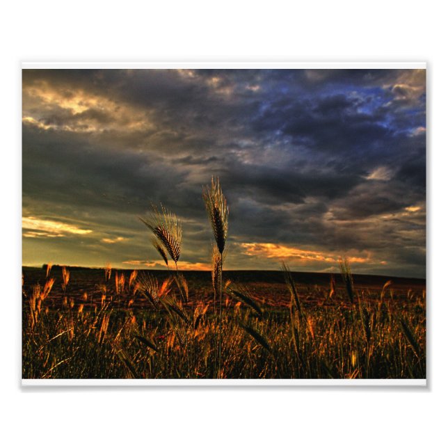 Foto Conversa com o vento (Frente)