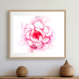 Foto Cor da água da flor da Begónia - wb1