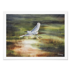Foto Cor d'água branca Egret