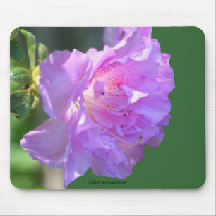 Foto cor-de-rosa Mousepad da flor da azálea