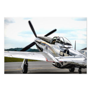 Foto Cor do mustang P51