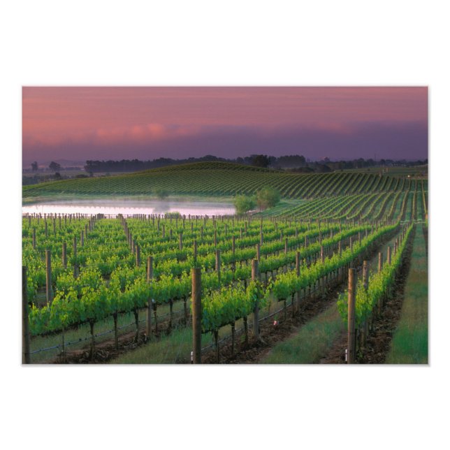 Foto Cor do nascer do sol no nevoeiro distante atrás (Frente)