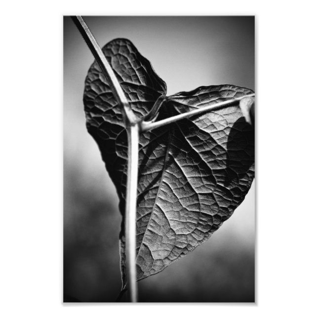 Foto coração crucificado (Frente)