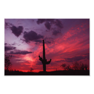 Foto Coração da Arizona