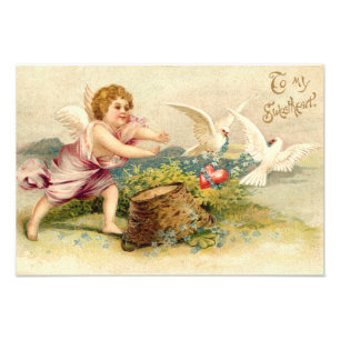 Foto Coração da Dova Anjo de Cupid Cherub