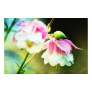 Foto Corações Sangrando por Shirley Taylor