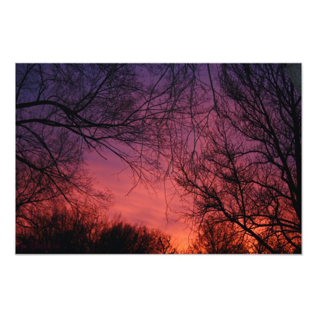 Foto "Cores" (Frente)