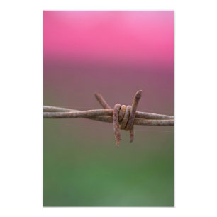 Foto Cores afiadas