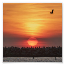 Cores de Pôr do Sol Lindas - Marina Del Rey, CA