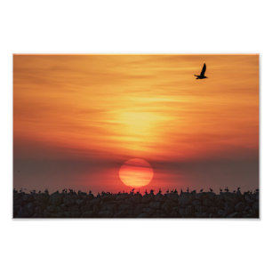 Foto Cores de Pôr do Sol Lindas - Marina Del Rey, CA