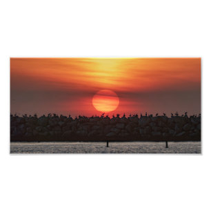 Foto Cores do Pôr do Sol - Marina Del Rey, CA