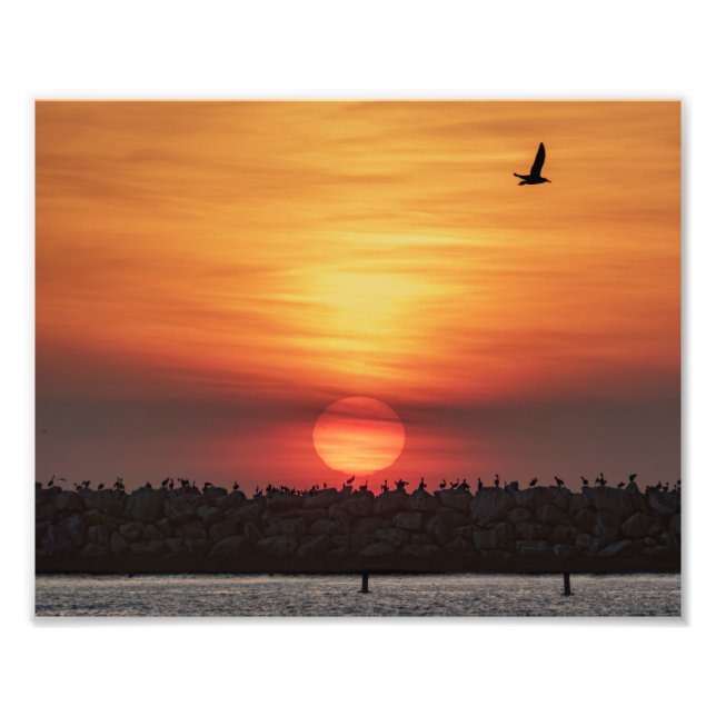 Foto Cores do Pôr do Sol - Marina Del Rey, CA (Frente)
