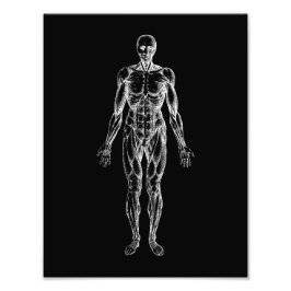 Foto Corpo humano, anatomia masculina preto e branco