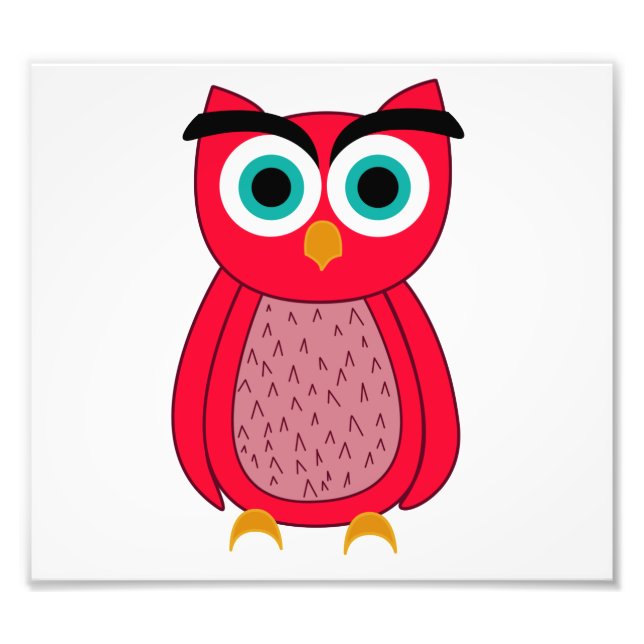 Foto Coruja (Frente)