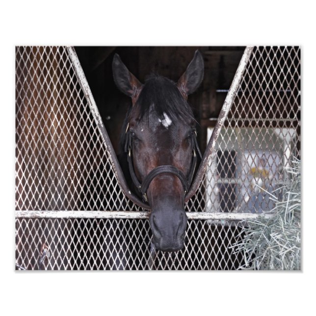 Foto Cozmic One em Saratoga Histórica (Frente)