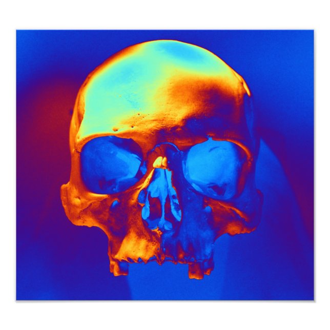 Foto Crânio em azul e Dourado (Frente)