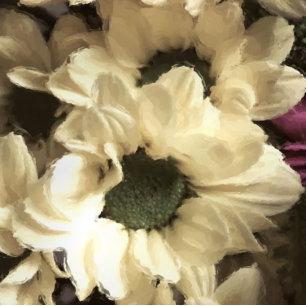 FOTO CRISANTEMA AMARELO