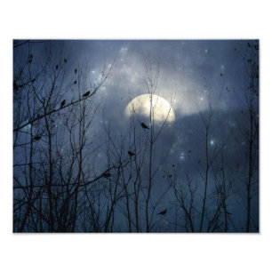 Foto Crows de Cristal Azul Celestial