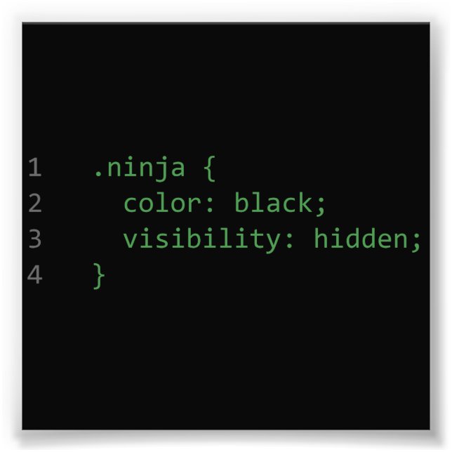 Foto CSS Coding Ninja (Frente)
