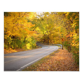 Foto Curvy Road em Fall