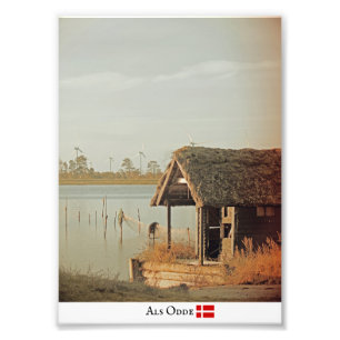 Foto Cute Als Odde/Denmark Photo Impressão!