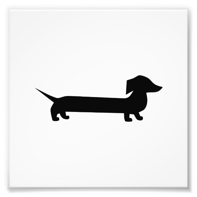 Foto Cute Dachshund (Frente)