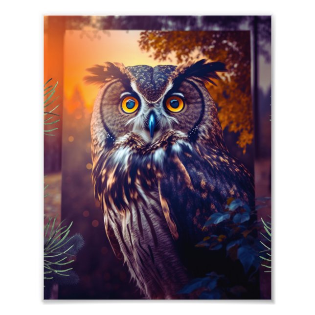 Foto Cute Owl in Forest Nature Wildlife Bird Animal (Frente)