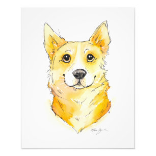 Foto Cutie Corgi