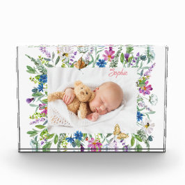 Foto da Borda de Flor Silvestre 