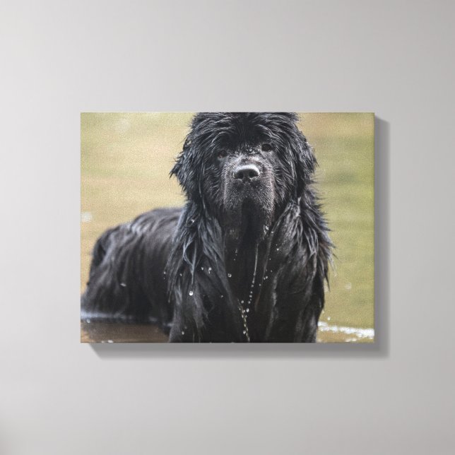 Foto da Canvas do rio Newfound (Frente)