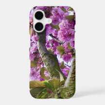 Foto da Coroa de Árvore, cor-de-rosa-verão -